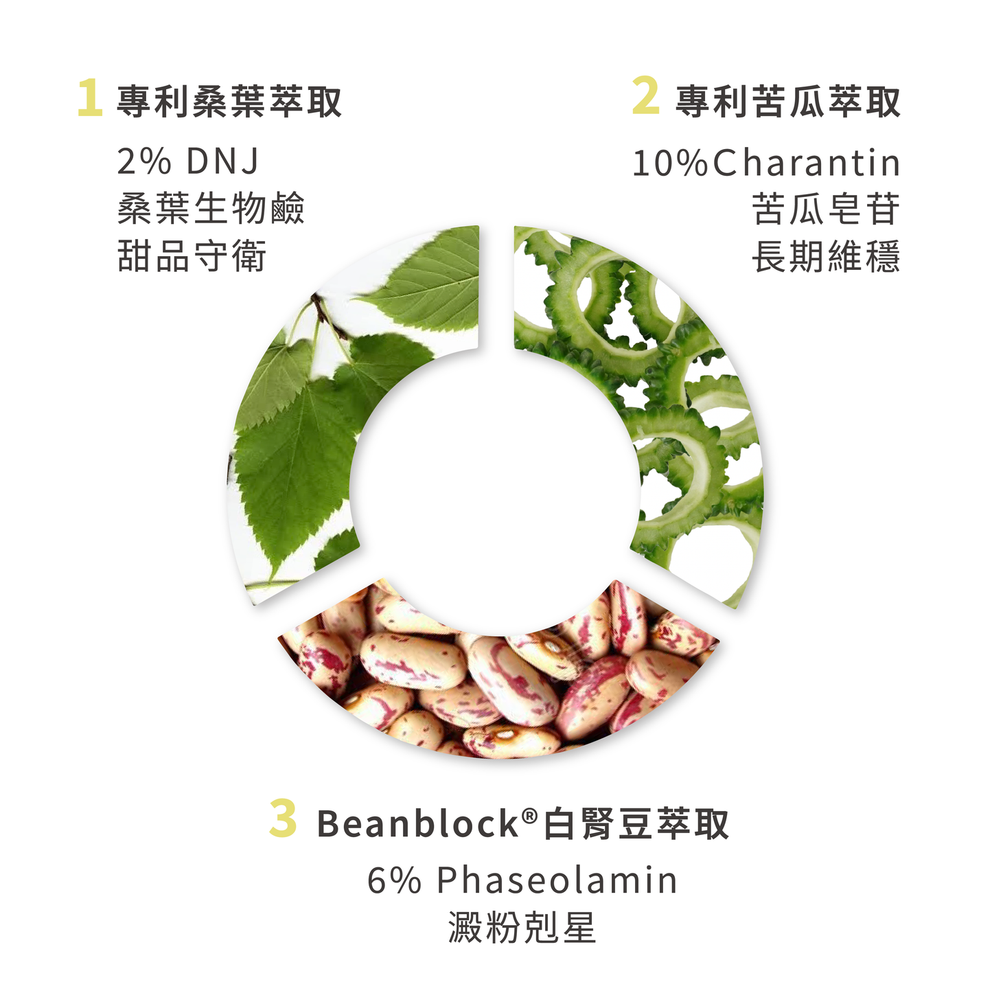 S. 糖碳忍者*2